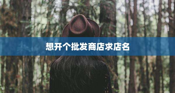 想开个批发商店求店名
