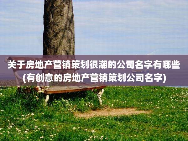 关于房地产营销策划很潮的公司名字有哪些(有创意的房地产营销策划公司名字)