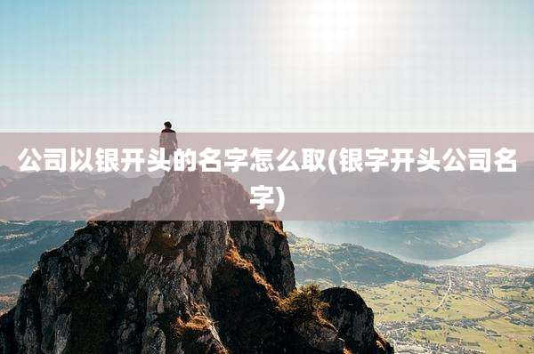 公司以银开头的名字怎么取(银字开头公司名字)
