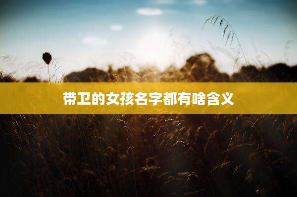 带卫的女孩名字都有啥含义