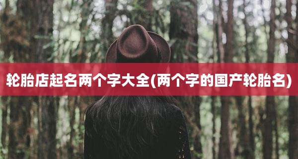 轮胎店起名两个字大全(两个字的国产轮胎名)