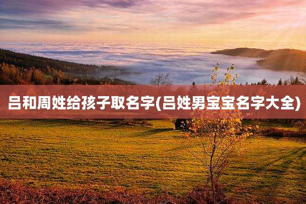 吕和周姓给孩子取名字(吕姓男宝宝名字大全)