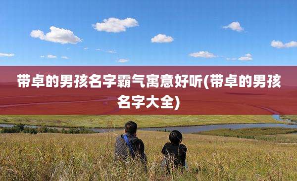 带卓的男孩名字霸气寓意好听(带卓的男孩名字大全)