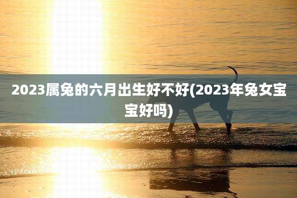 2023属兔的六月出生好不好(2023年兔女宝宝好吗)