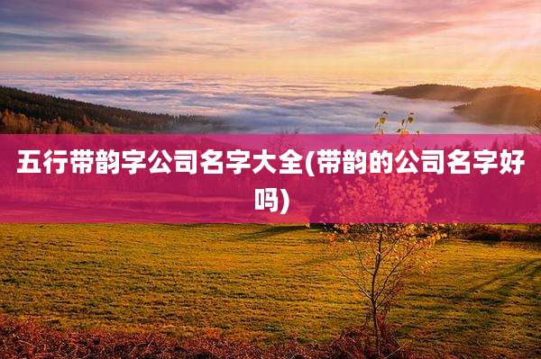 五行带韵字公司名字大全(带韵的公司名字好吗)