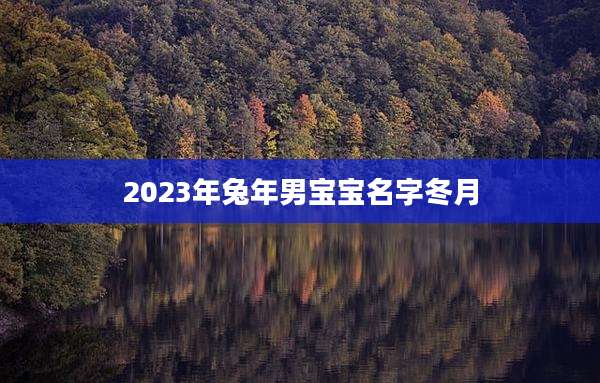 2023年兔年男宝宝名字冬月