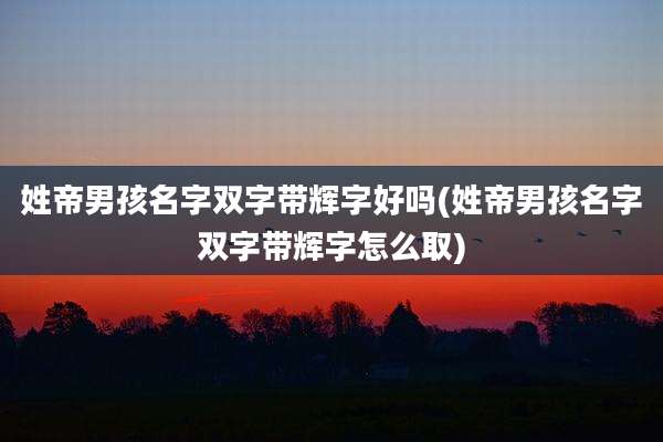 姓帝男孩名字双字带辉字好吗(姓帝男孩名字双字带辉字怎么取)