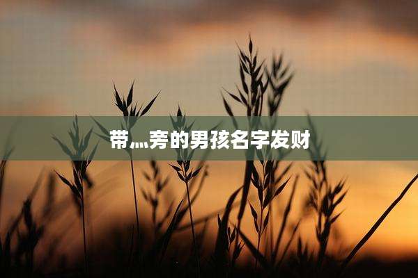 带灬旁的男孩名字发财