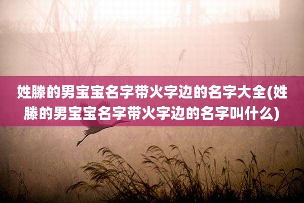 姓滕的男宝宝名字带火字边的名字大全(姓滕的男宝宝名字带火字边的名字叫什么)