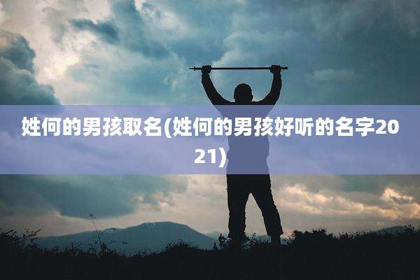姓何的男孩取名(姓何的男孩好听的名字2021)