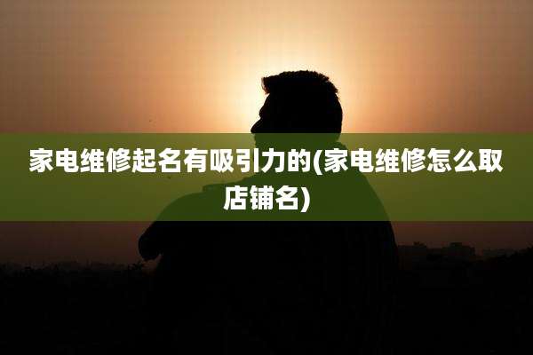 家电维修起名有吸引力的(家电维修怎么取店铺名)