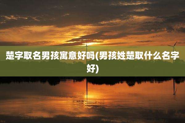 楚字取名男孩寓意好吗(男孩姓楚取什么名字好)