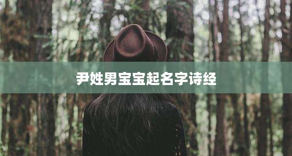 尹姓男宝宝起名字诗经