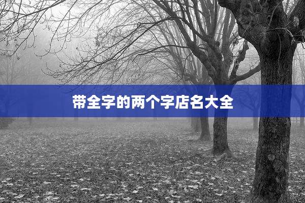 带全字的两个字店名大全