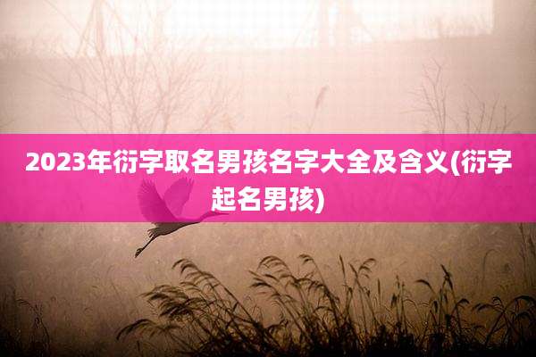 2023年衍字取名男孩名字大全及含义(衍字起名男孩)