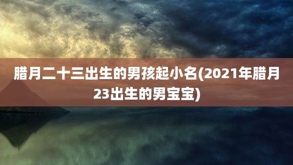 腊月二十三出生的男孩起小名(2021年腊月23出生的男宝宝)