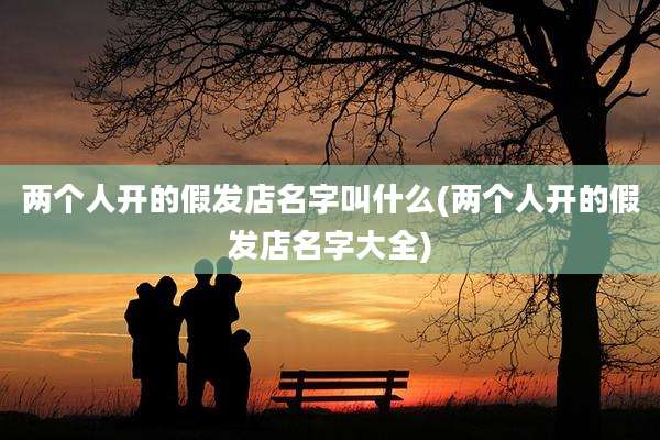 两个人开的假发店名字叫什么(两个人开的假发店名字大全)