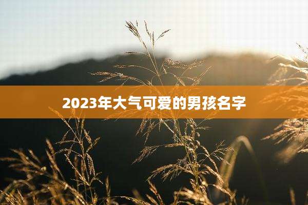 2023年大气可爱的男孩名字