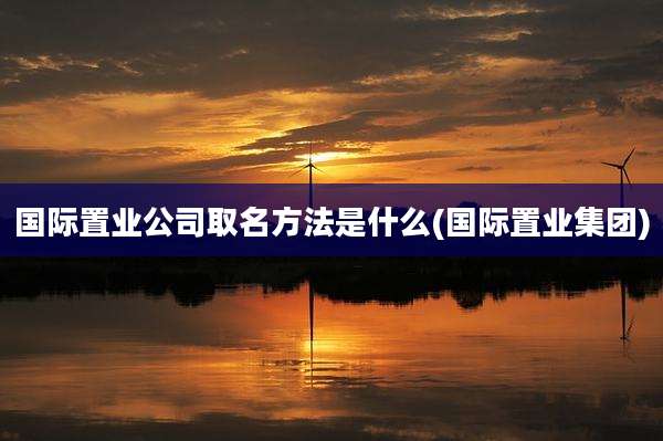 国际置业公司取名方法是什么(国际置业集团)