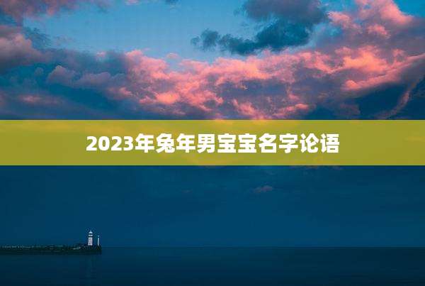 2023年兔年男宝宝名字论语