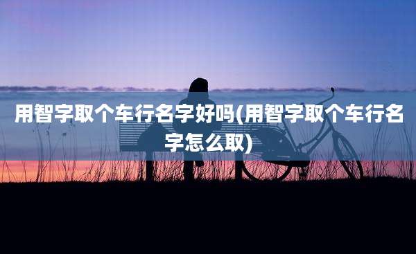 用智字取个车行名字好吗(用智字取个车行名字怎么取)