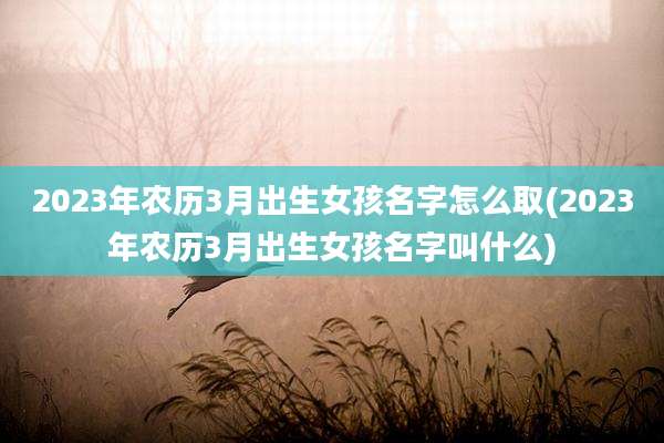 2023年农历3月出生女孩名字怎么取(2023年农历3月出生女孩名字叫什么)