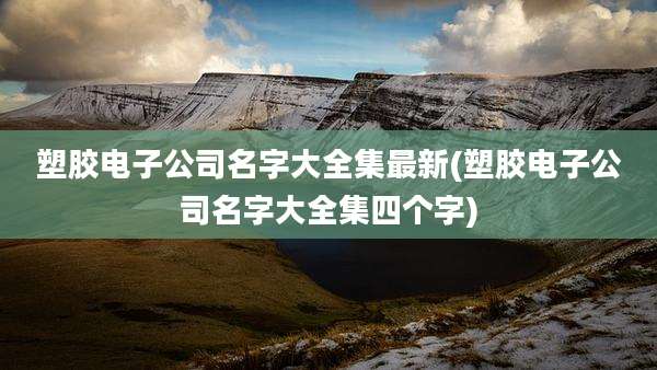 塑胶电子公司名字大全集最新(塑胶电子公司名字大全集四个字)