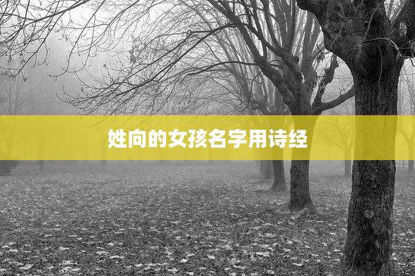姓向的女孩名字用诗经