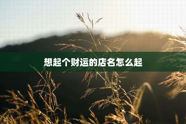 想起个财运的店名怎么起