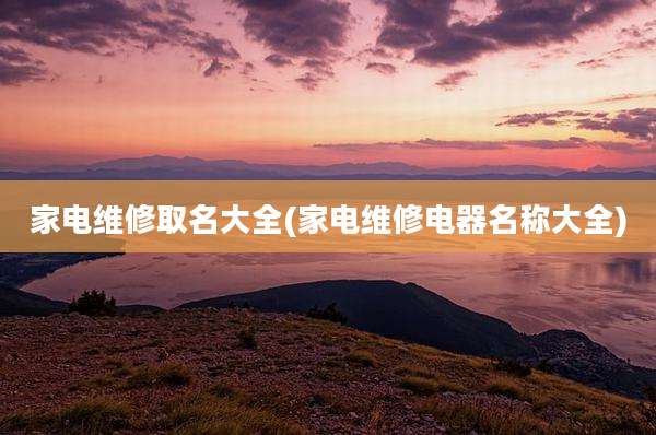 家电维修取名大全(家电维修电器名称大全)