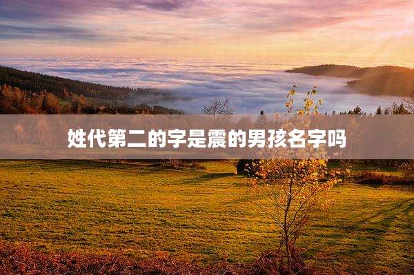 姓代第二的字是震的男孩名字吗