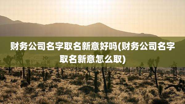 财务公司名字取名新意好吗(财务公司名字取名新意怎么取)