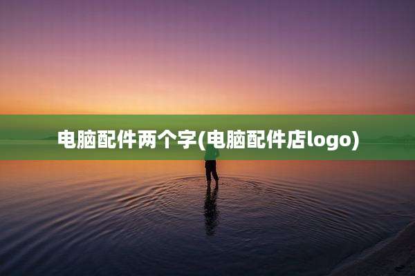 电脑配件两个字(电脑配件店logo)