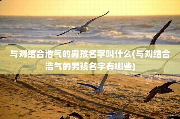 与刘结合浩气的男孩名字叫什么(与刘结合浩气的男孩名字有哪些)