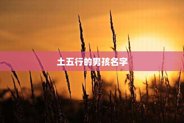 土五行的男孩名字