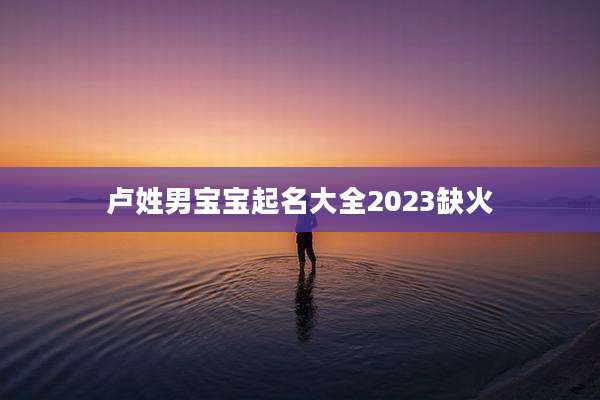 卢姓男宝宝起名大全2023缺火