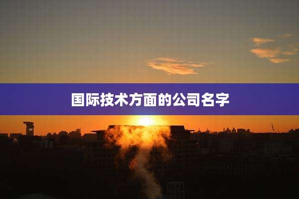 国际技术方面的公司名字