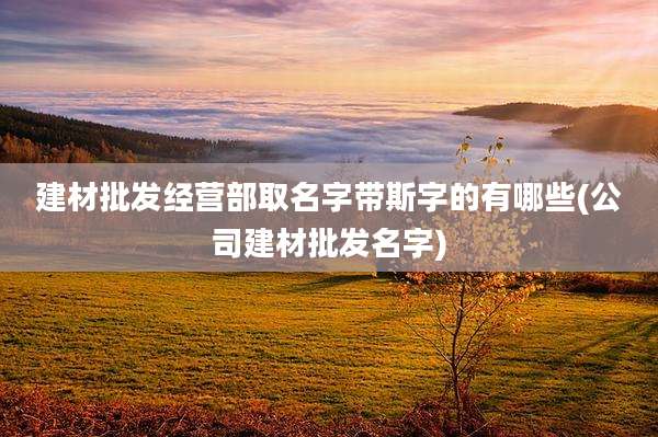 建材批发经营部取名字带斯字的有哪些(公司建材批发名字)