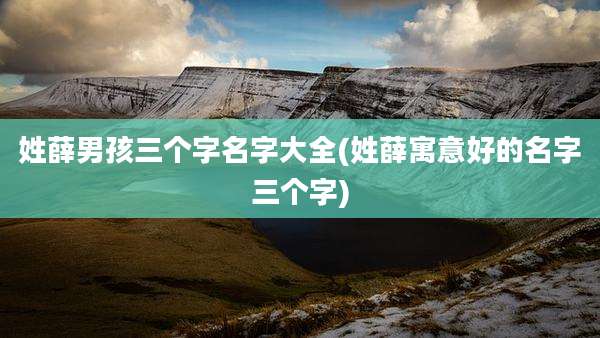 姓薛男孩三个字名字大全(姓薛寓意好的名字三个字)