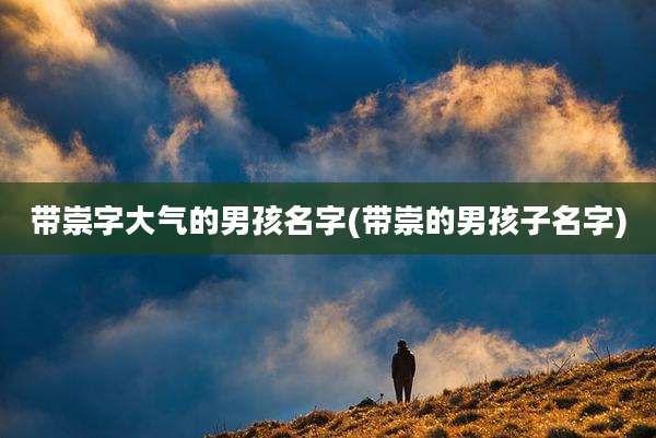 带崇字大气的男孩名字(带崇的男孩子名字)