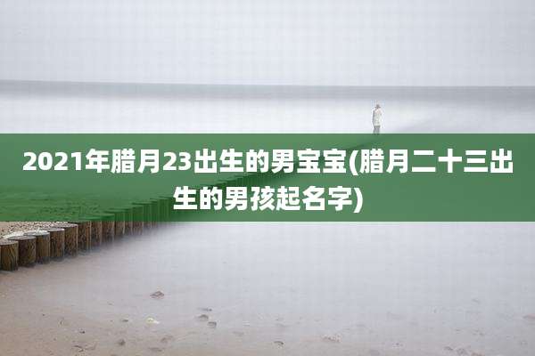 2021年腊月23出生的男宝宝(腊月二十三出生的男孩起名字)