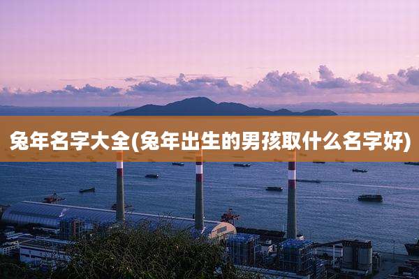 兔年名字大全(兔年出生的男孩取什么名字好)