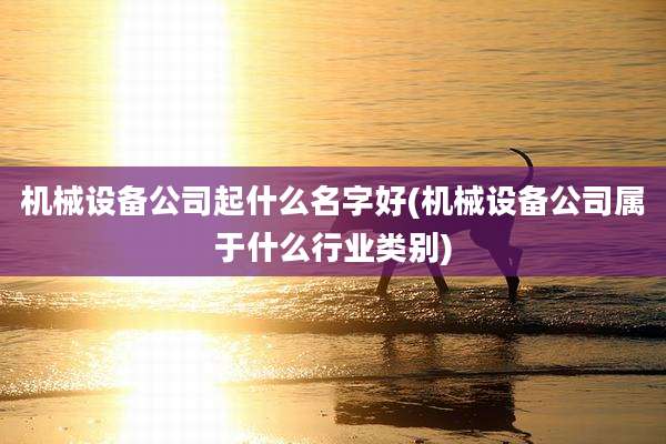 机械设备公司起什么名字好(机械设备公司属于什么行业类别)