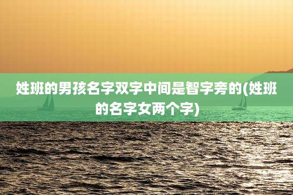 姓班的男孩名字双字中间是智字旁的(姓班的名字女两个字)
