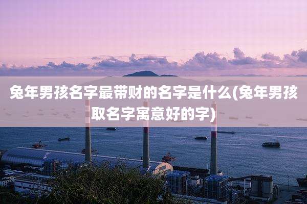 兔年男孩名字最带财的名字是什么(兔年男孩取名字寓意好的字)
