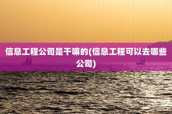 信息工程公司是干嘛的(信息工程可以去哪些公司)