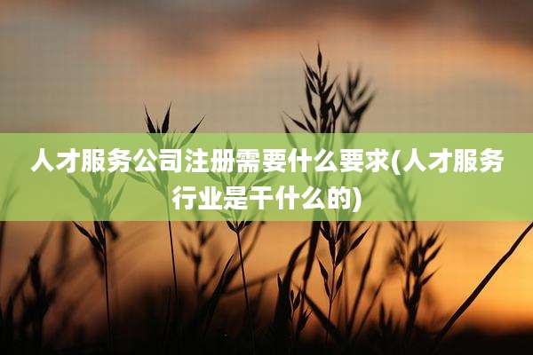 人才服务公司注册需要什么要求(人才服务行业是干什么的)