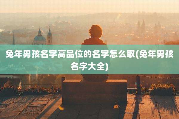 兔年男孩名字高品位的名字怎么取(兔年男孩名字大全)