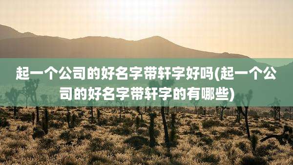 起一个公司的好名字带轩字好吗(起一个公司的好名字带轩字的有哪些)