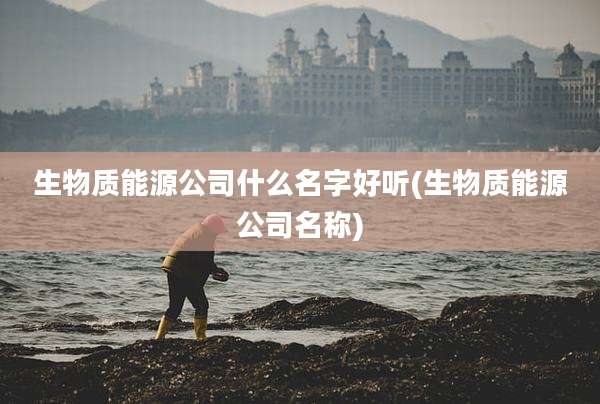 生物质能源公司什么名字好听(生物质能源公司名称)